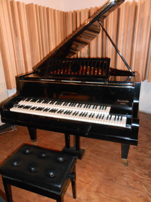 Bosendorfer-Moór instrument in New York City, belonging to the Gunnar and Lorraine Johansen Charitable Trust. Photo © 2019 James P Colias. Used with permission.