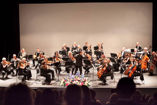 The Milton Keynes City Orchestra