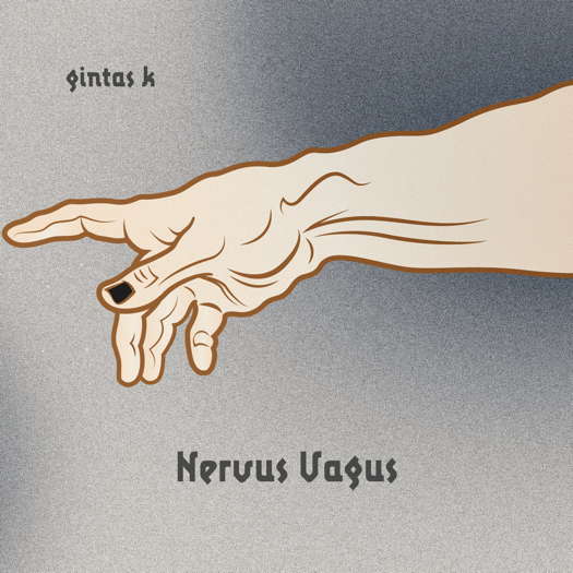 Nervus Vagus