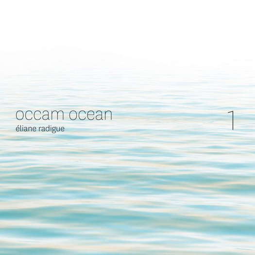 Éliane Radigue: Occam Ocean 1. © 2017 Shiiin