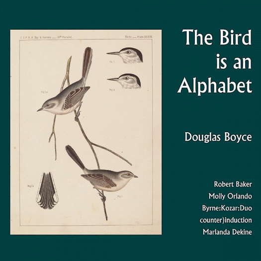 Douglas Boyce: The Bird is an Alphabet. Robert Baker, Molly Orlando, Byrne:Kozar:Duo, counter)induction, Marlanda Dekine. © 2023 New Focus Recordings