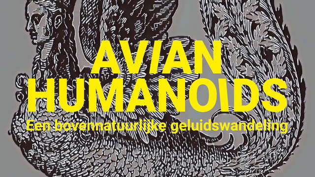 'Avian Humanoids' - Een bovennatuurlijke geluidswandeling (a supernatural sound walk). Image © 2024 Evelien van den Broek