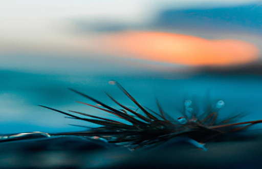 Resounding Echoes: Familiarity breeds oblivion